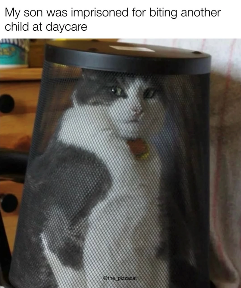 My son was imprisoned for biting another child at daycare @the_pizzacat
