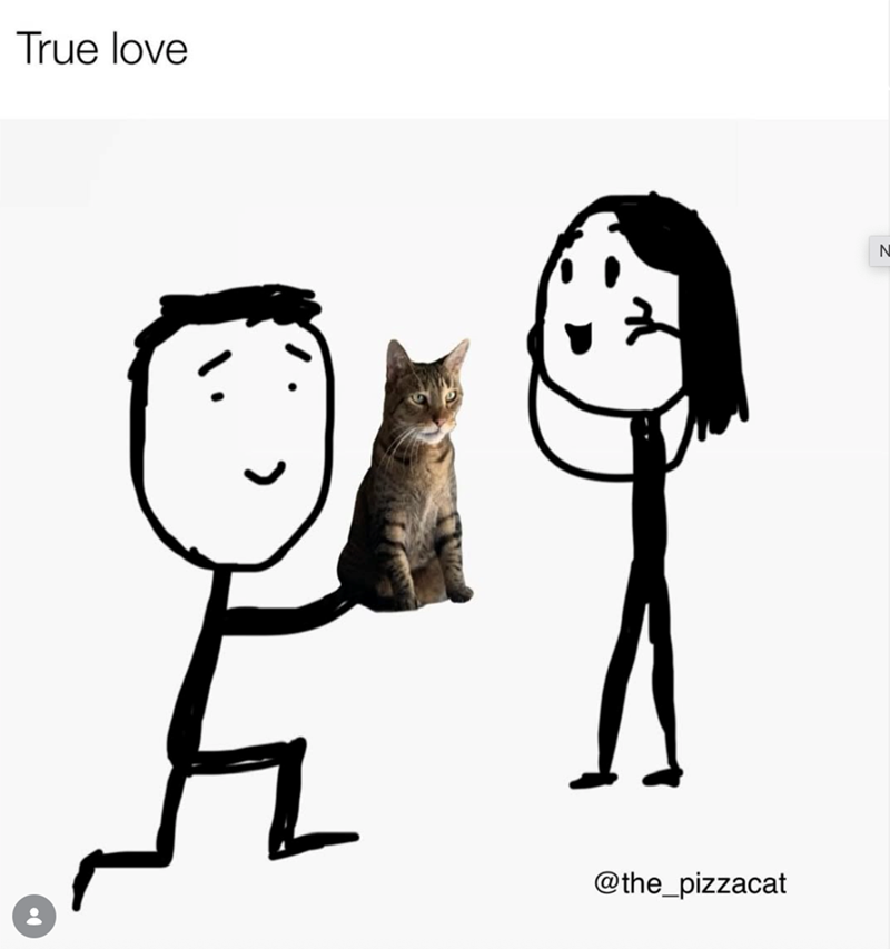 True love @the_pizzacat N