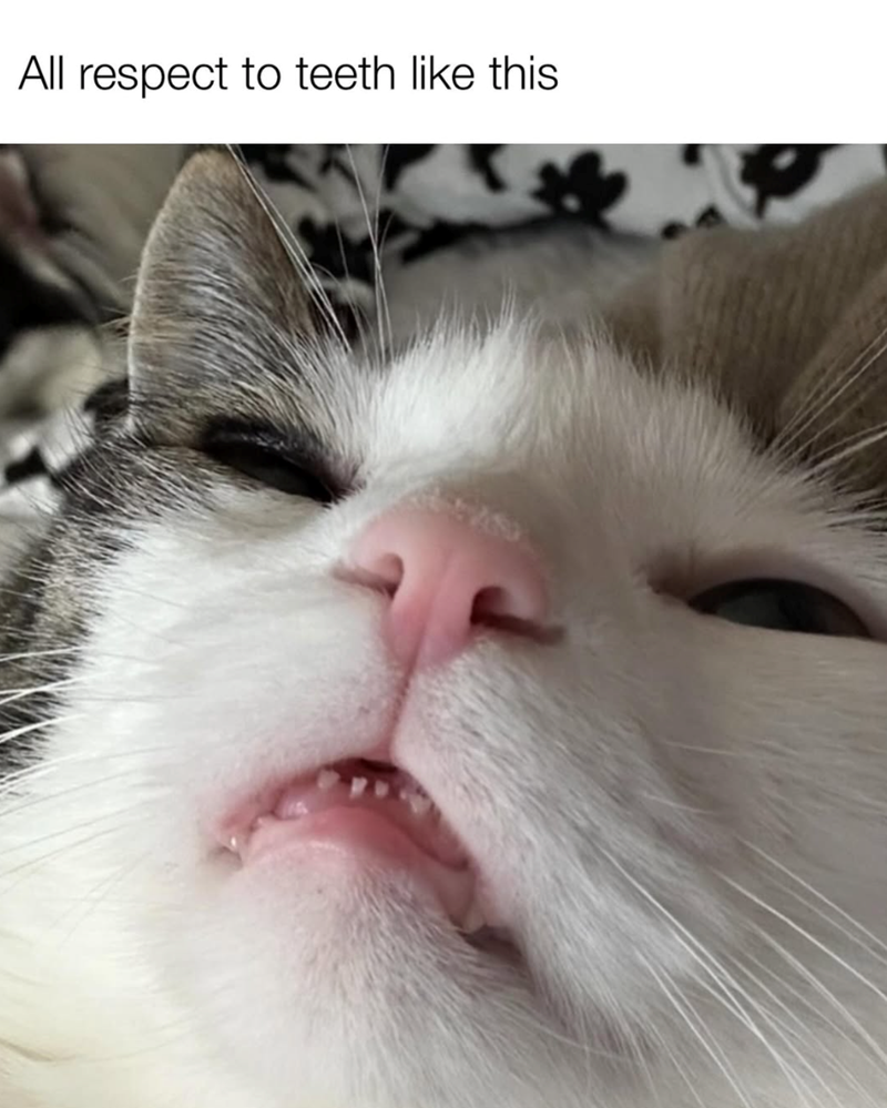 All respect to teeth like this
