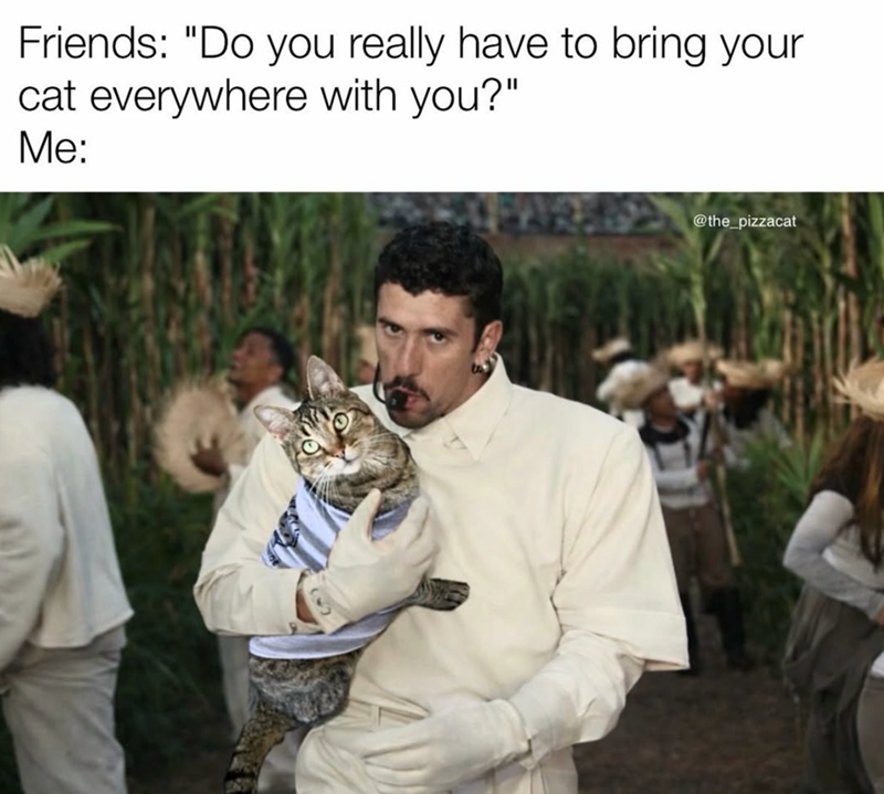 Friends: "Do you really have to bring your cat everywhere with you?" Me: @the_pizzacat