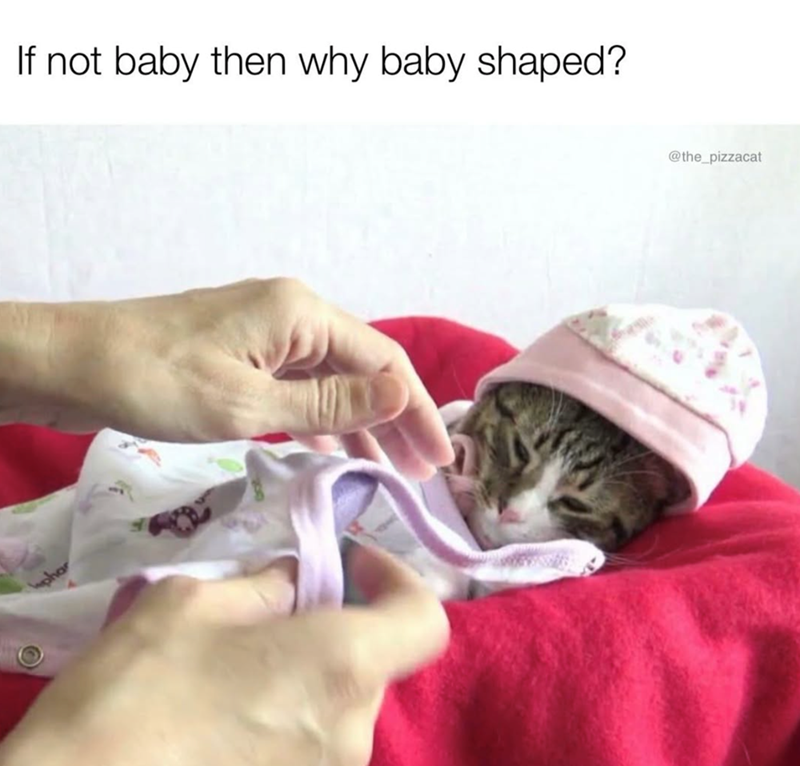 If not baby then why baby shaped? @the_pizzacat