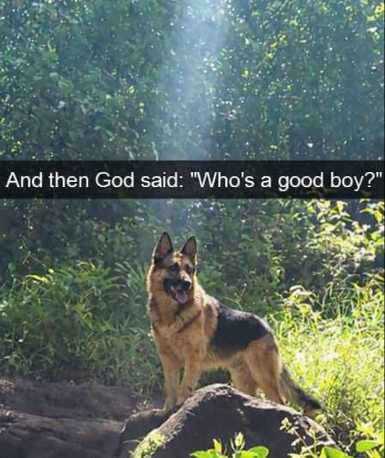 And then God said: "Who's a good boy?"