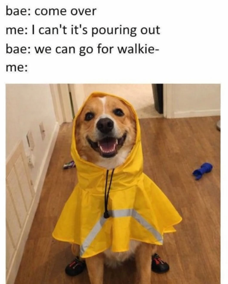 bae: come over me: I can't it's pouring out bae: we can go for walkie- me: