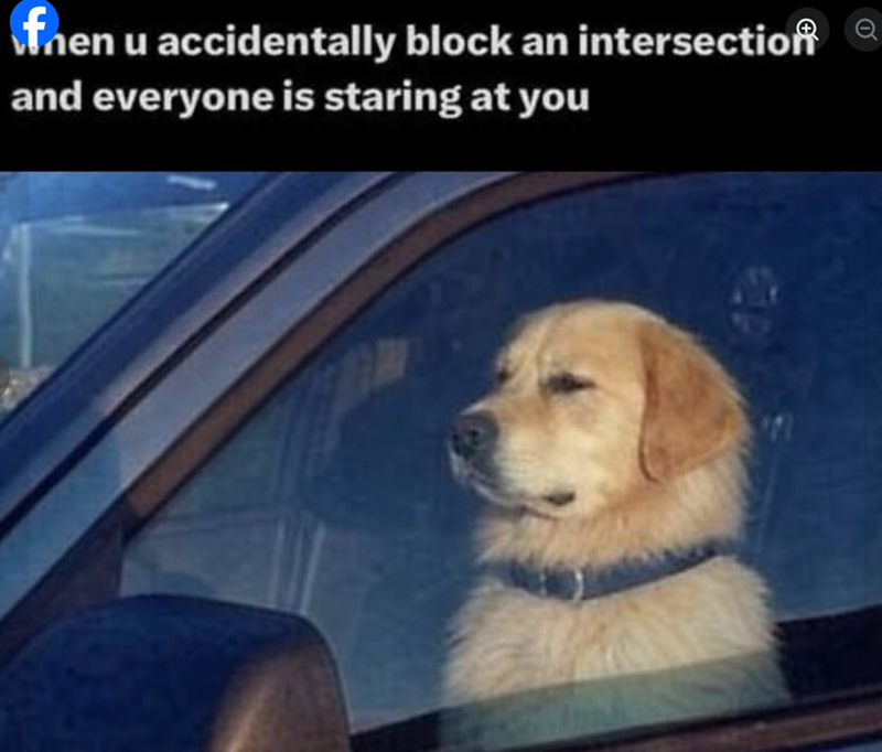 fnen u accidentally block an intersection and everyone is staring at you