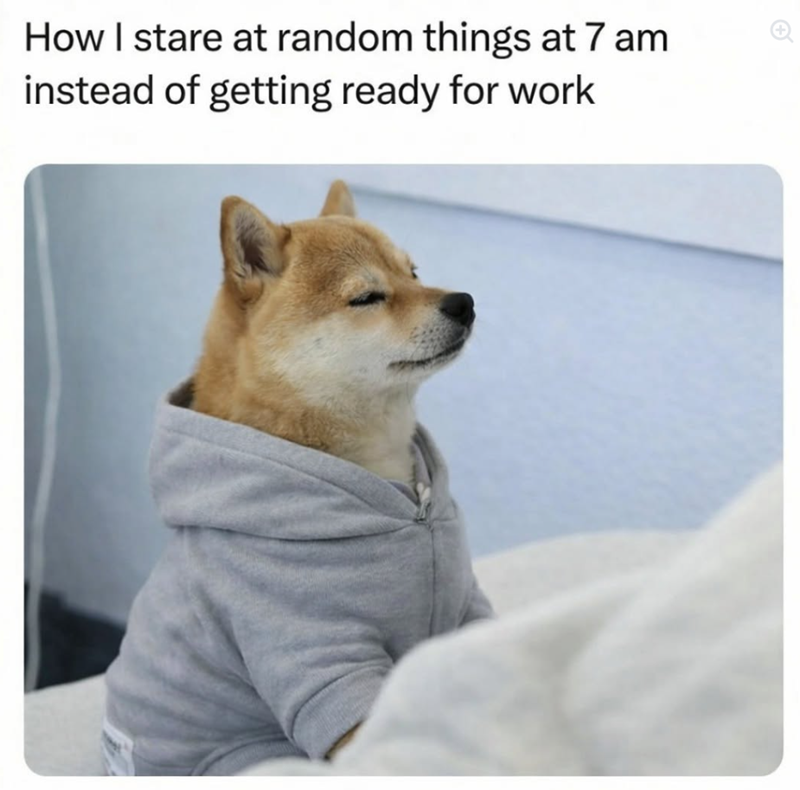 How I stare at random things at 7 am instead of getting ready for work