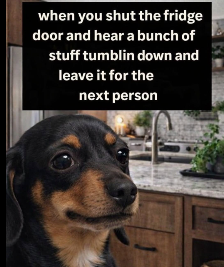 when you shut the fridge door and hear a bunch of stuff tumblin down and leave it for the next person
