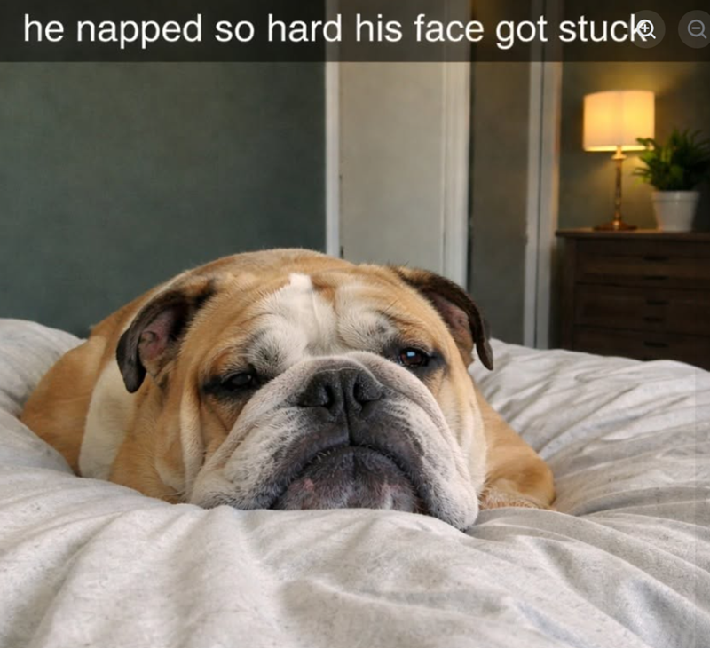 he napped so hard his face got stuck Q