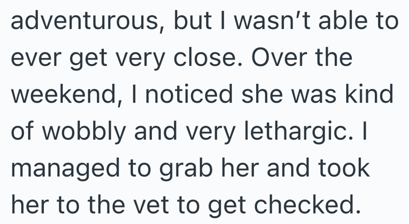 adventurous, but I wasn't able to ever get very close. Over the weekend, I noticed she was kind of wobbly and very lethargic. I managed to grab her and took her to the vet to get checked.