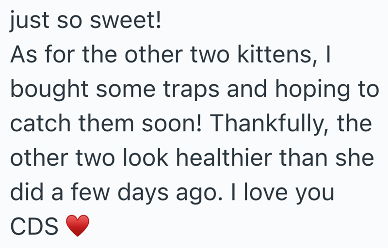 just so sweet! As for the other two kittens, I bought some traps and hoping to catch them soon! Thankfully, the other two look healthier than she did a few days ago. I love you CDS
