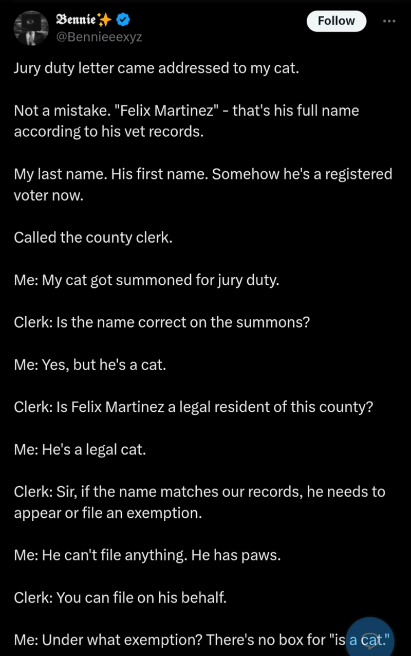 Bennie @Bennieeexyz Jury duty letter came addressed to my cat. Follow Not a mistake. "Felix Martinez" – that's his full name according to his vet records. My last name. His first name. Somehow he's a registered voter now. Called the county clerk. Me: My cat got summoned for jury duty. Clerk: Is the name correct on the summons? Me: Yes, but he's a cat. Clerk: Is Felix Martinez a legal resident of this county? Me: He's a legal cat. Clerk: Sir, if the name matches our records, he needs to appear or
