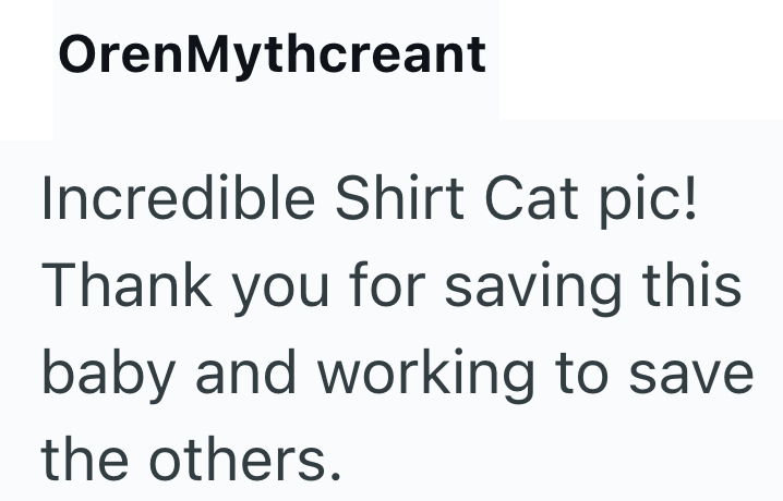 OrenMythcreant Incredible Shirt Cat pic! Thank you for saving this baby and working to save the others.
