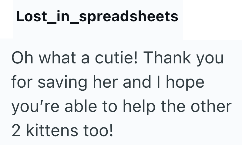 Lost_in_spreadsheets Oh what a cutie! Thank you for saving her and I hope you're able to help the other 2 kittens too!