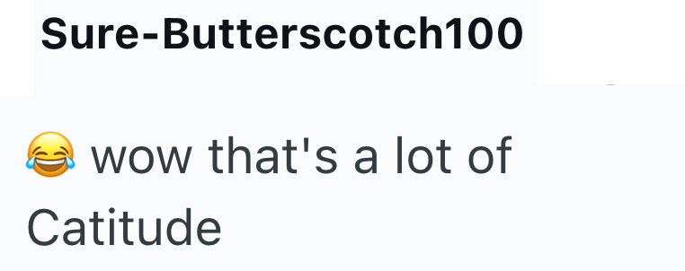 Sure-Butterscotch100 wow that's a lot of Catitude