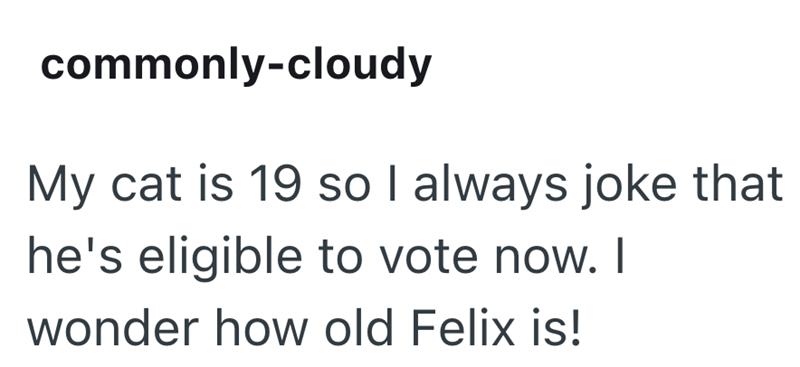 commonly-cloudy My cat is 19 so I always joke that he's eligible to vote now. I wonder how old Felix is!