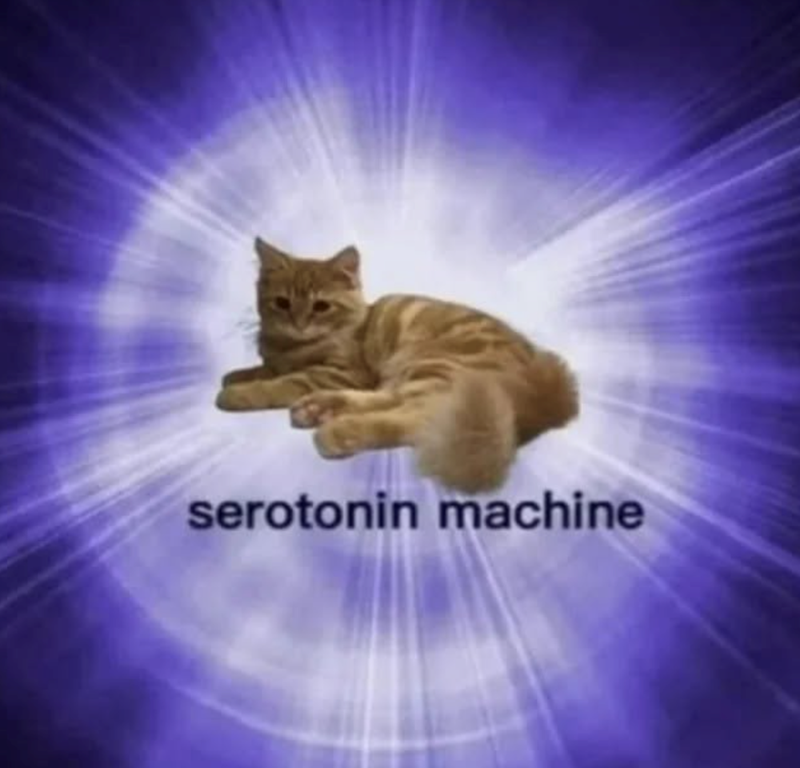 serotonin machine