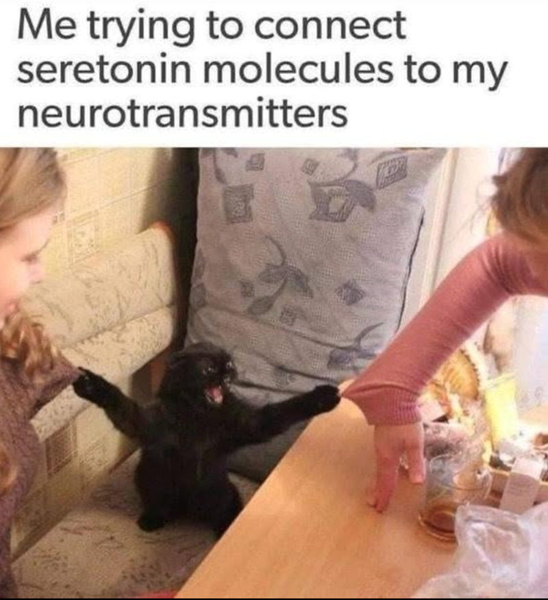 Me trying to connect seretonin molecules to my neurotransmitters