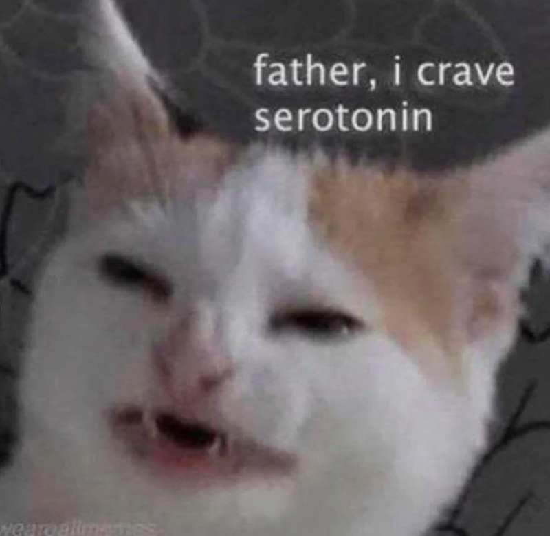 weareallmemis father, i crave serotonin