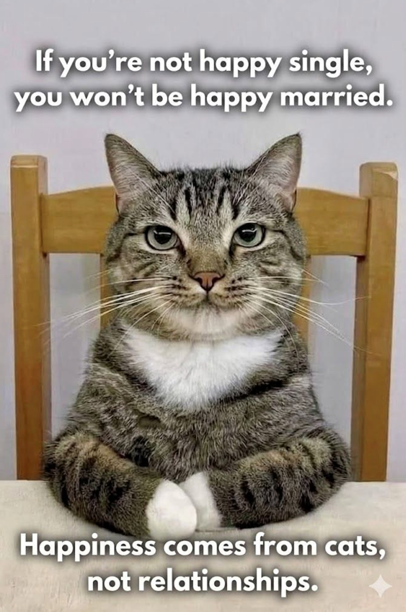 If you're not happy single, you won't be happy married. Happiness comes from cats, not relationships.