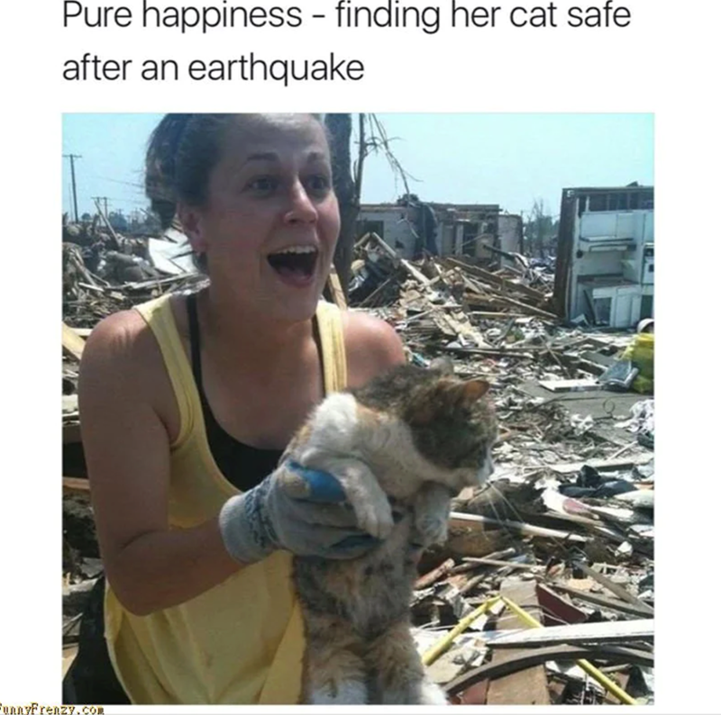 Pure happiness - finding her cat safe after an earthquake FunnyFrenzy.com