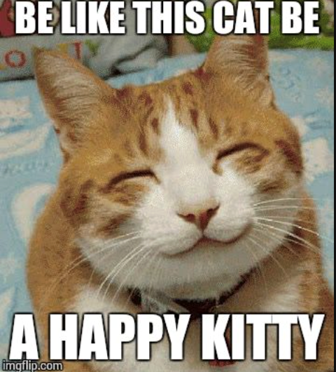 BE LIKE THIS CAT BE A HAPPY KITTY imgflip.com