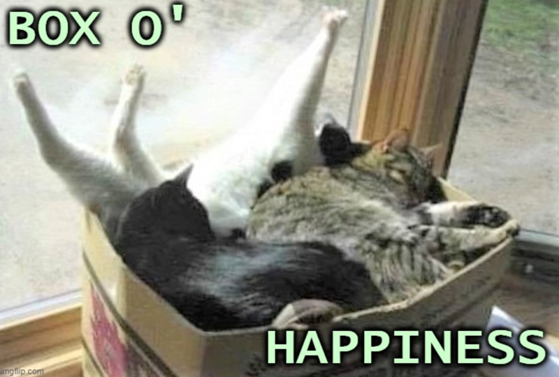 BOX O 1 imgflip.com HAPPINESS