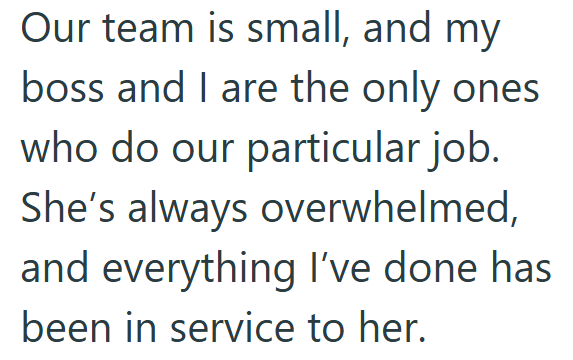 Our team is small, and my boss and I are the only ones who do our particular job. She's always overwhelmed, and everything I've done has been in service to her.