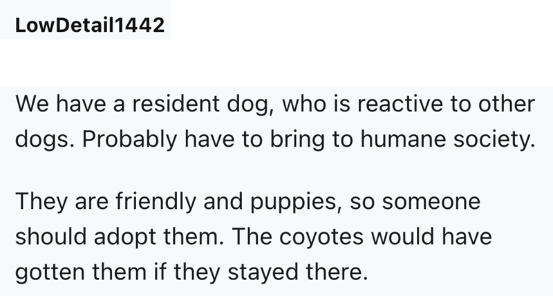 LowDetail1442 We have a resident dog, who is reactive to other dogs. Probably have to bring to humane society. They are friendly and puppies, so someone should adopt them. The coyotes would have gotten them if they stayed there.