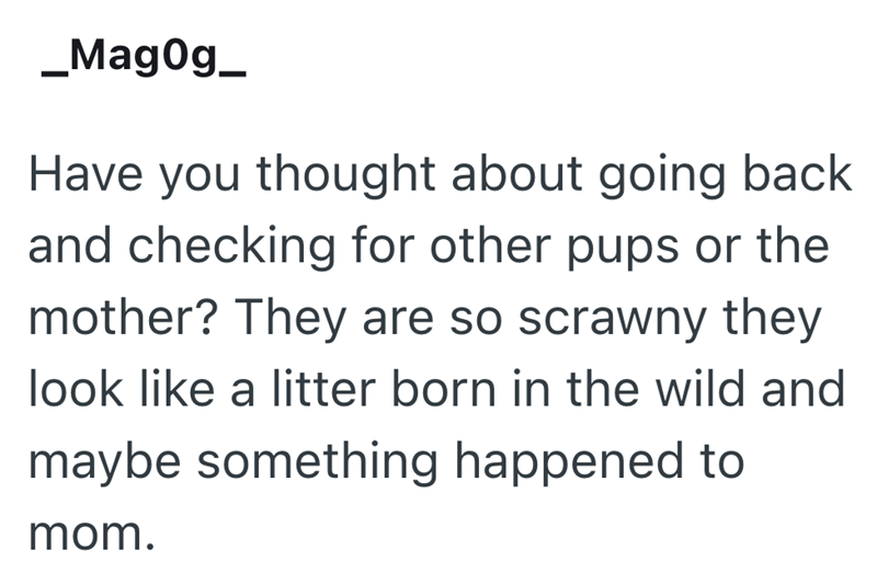 _Magog_ Have you thought about going back and checking for other pups or the mother? They are so scrawny they look like a litter born in the wild and maybe something happened to mom.