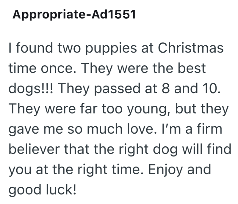 Appropriate-Ad1551 I found two puppies at Christmas time once. They were the best dogs!!! They passed at 8 and 10. They were far too young, but they gave me so much love. I'm a firm believer that the right dog will find you at the right time. Enjoy and good luck!