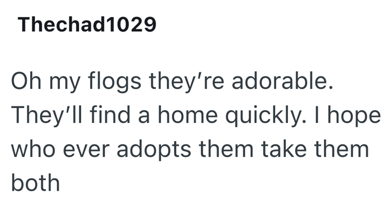 Thechad1029 Oh my flogs they're adorable. They'll find a home quickly. I hope who ever adopts them take them both