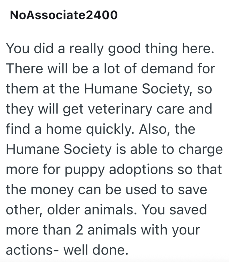 NoAssociate2400 You did a really good thing here. There will be a lot of demand for them at the Humane Society, so they will get veterinary care and find a home quickly. Also, the Humane Society is able to charge more for puppy adoptions so that the money can be used to save other, older animals. You saved more than 2 animals with your actions- well done.