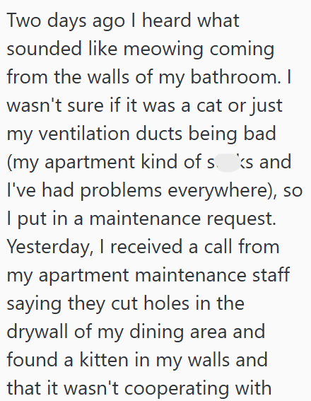 Two days ago I heard what sounded like meowing coming from the walls of my bathroom. I wasn't sure if it was a cat or just my ventilation ducts being bad (my apartment kind of soks and I've had problems everywhere), so I put in a maintenance request. Yesterday, I received a call from my apartment maintenance staff saying they cut holes in the drywall of my dining area and found a kitten in my walls and that it wasn't cooperating with