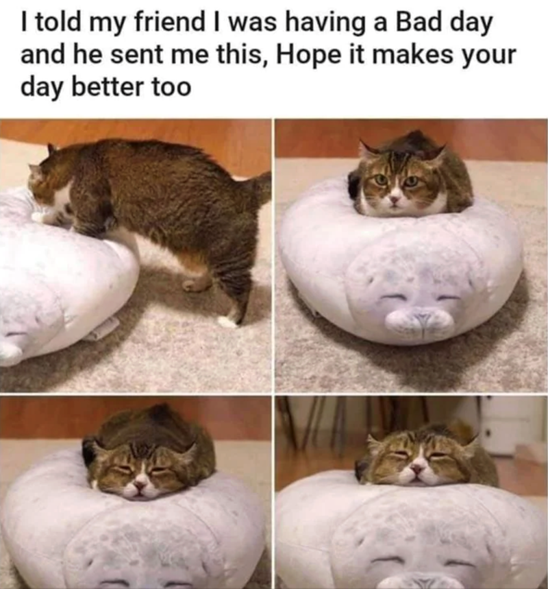 I told my friend I was having a Bad day and he sent me this, Hope it makes your day better too
