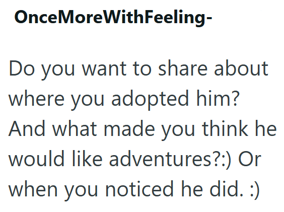 Once MoreWithFeeling- Do you want to share about where you adopted him? And what made you think he would like adventures?:) Or when you noticed he did. :)