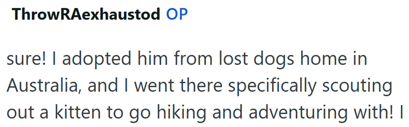 ThrowRAexhaustod OP sure! I adopted him from lost dogs home in Australia, and I went there specifically scouting out a kitten to go hiking and adventuring with! I