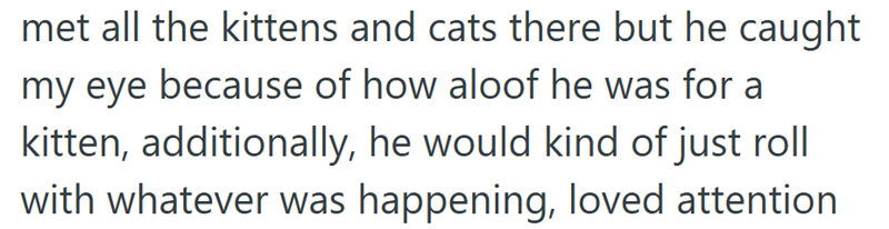 met all the kittens and cats there but he caught my eye because of how aloof he was for a kitten, additionally, he would kind of just roll with whatever was happening, loved attention