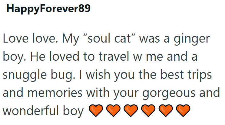 HappyForever89 Love love. My "soul cat" was a ginger boy. He loved to travel w me and a snuggle bug. I wish you the best trips and memories with your gorgeous and wonderful boy