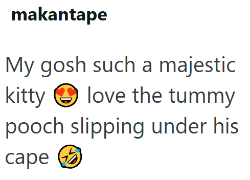 makantape My gosh such a majestic kitty love the tummy pooch slipping under his cape