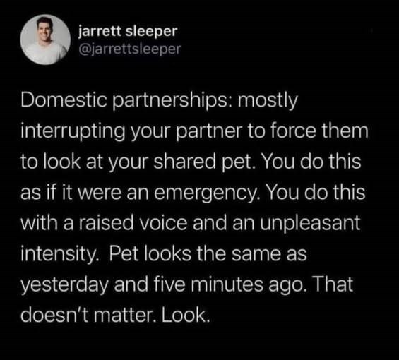 jarrett sleeper @jarrettsleeper Domestic partnerships: mostly interrupting your partner to force them to look at your shared pet. You do this as if it were an emergency. You do this with a raised voice and an unpleasant intensity. Pet looks the same as yesterday and five minutes ago. That doesn't matter. Look.