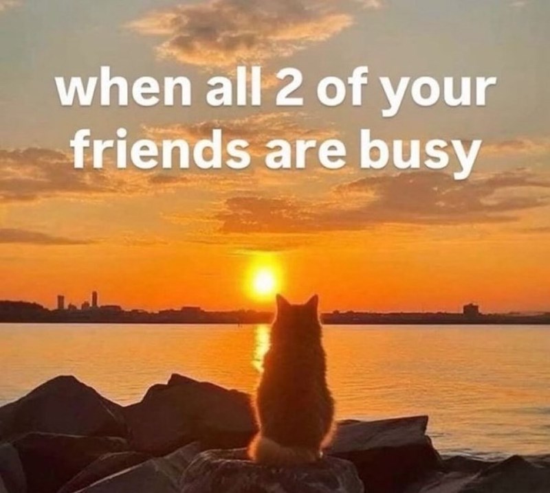 when all 2 of your friends are busy