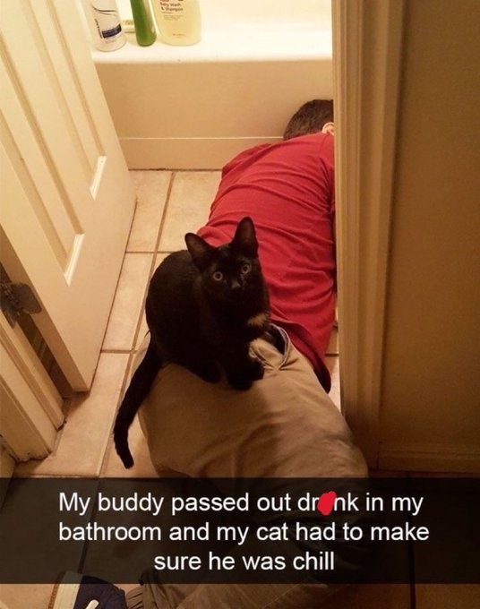 My buddy passed out dronk in my bathroom and my cat had to make sure he was chill