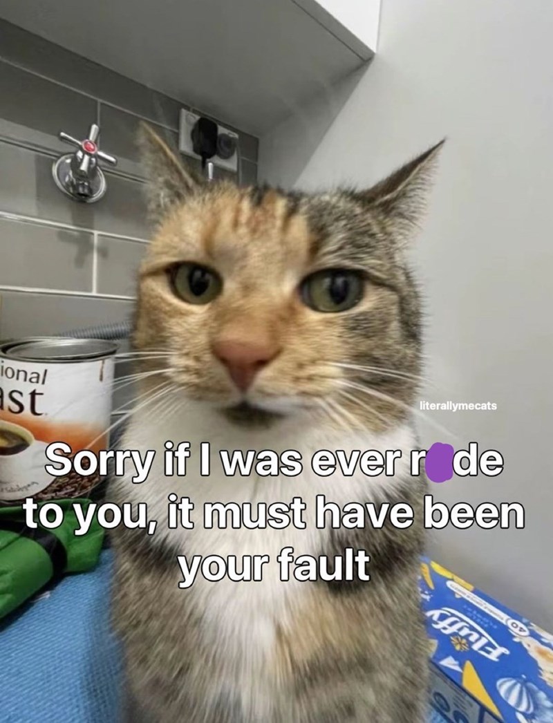 ional st literallymecats Sorry if I was ever røde to you, it must have been your fault