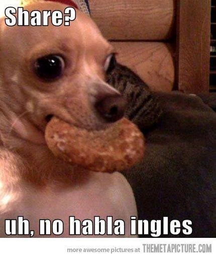 Share? uh, no habla ingles more awesome pictures at THEMETAPICTURE.COM