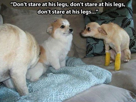 "Don't stare at his legs, don't stare at his legs, don't stare at his legs..."