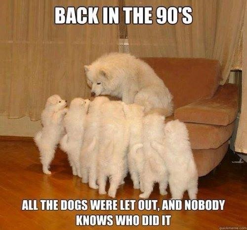 BACK IN THE 90'S ALL THE DOGS WERE LET OUT, AND NOBODY KNOWS WHO DID IT quickmeme.com