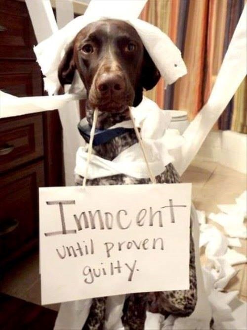 Innocent Until proven guilty.