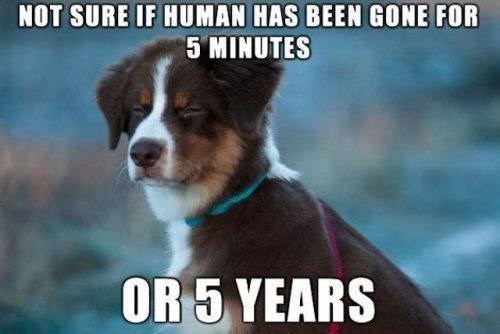 NOT SURE IF HUMAN HAS BEEN GONE FOR 5 MINUTES OR 5 YEARS