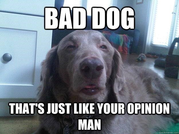 BAD DOG THAT'S JUST LIKE YOUR OPINION MAN quickmeme.com