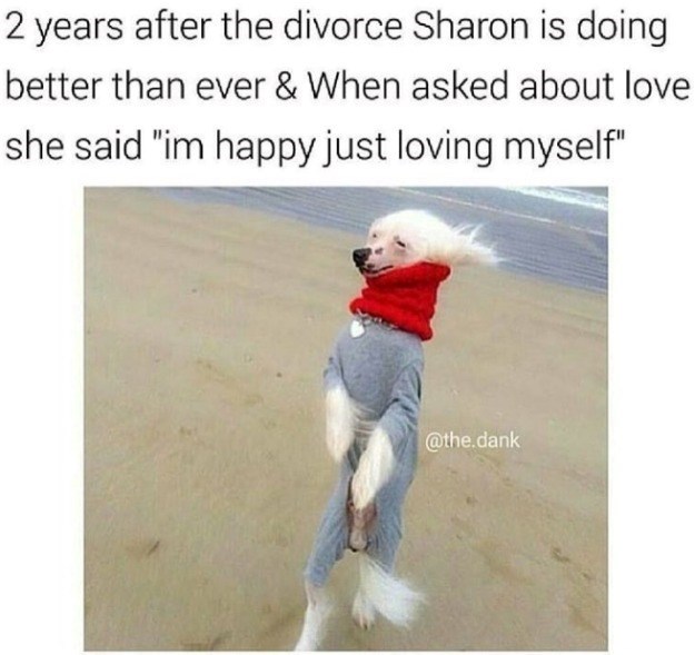 2 years after the divorce Sharon is doing better than ever & When asked about love she said "im happy just loving myself" @the.dank