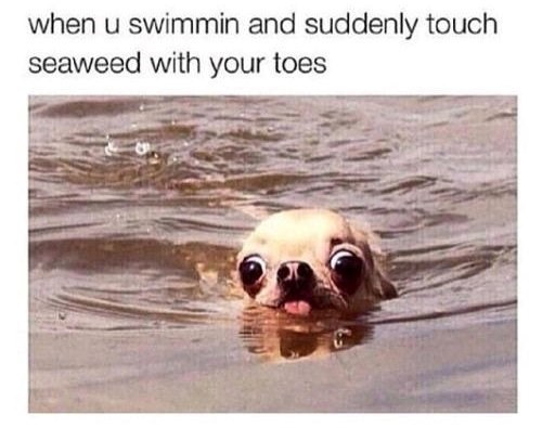 when u swimmin and suddenly touch seaweed with your toes